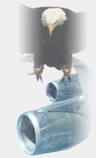 International Mailing Services